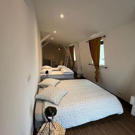 Grand Duplex De 80M2 Apartment Alencon Exterior photo